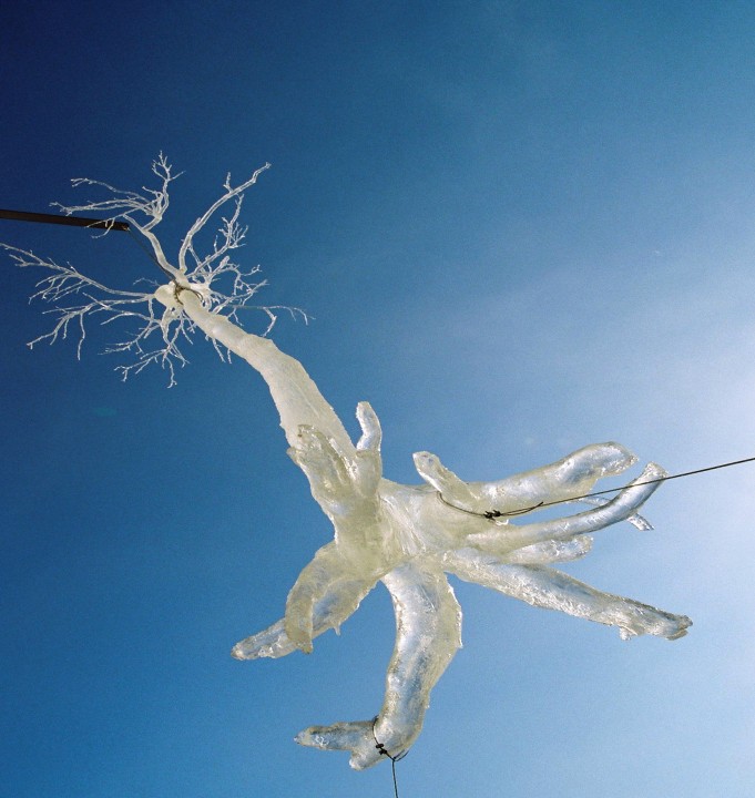 Ice-Tree
